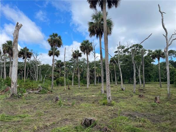7 Beauregard BLVD, Daufuskie Island, SC 29915