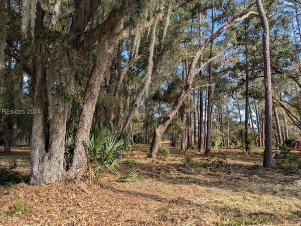 41 River RD, Daufuskie Island, SC 29915
