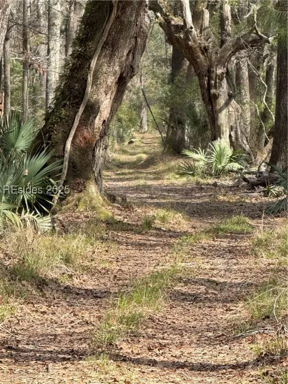 TBD Dressen RD, Hardeeville, SC 29927