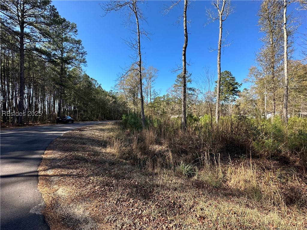 0 Gooding ST, Varnville, SC 29944
