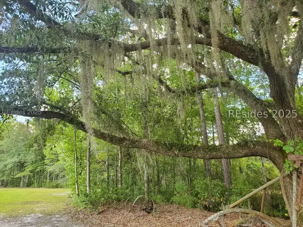 Ridgeland, SC 29936,294 Sardis RD