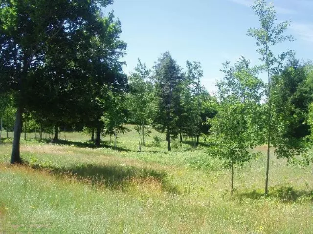 Parcel AA Wildflower Lane, Onekama, MI 49675