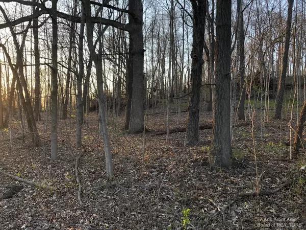 Manchester, MI 48158,5 Bowens Road