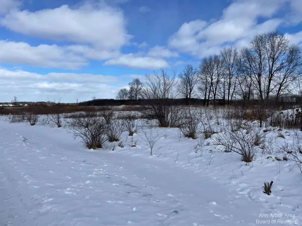 Grass Lake, MI 49240,0 Creek Drive