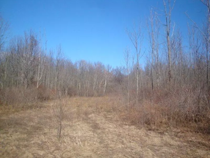 Saugatuck, MI 49453,00 Wiley Road