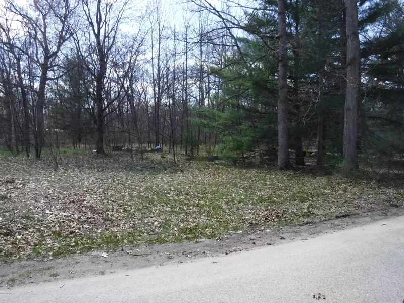 3448 S M 37, Baldwin, MI 49304