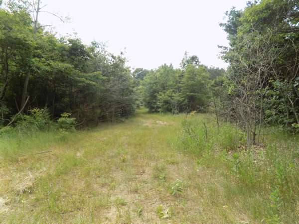 Coloma, MI 49038,00 Taube Road