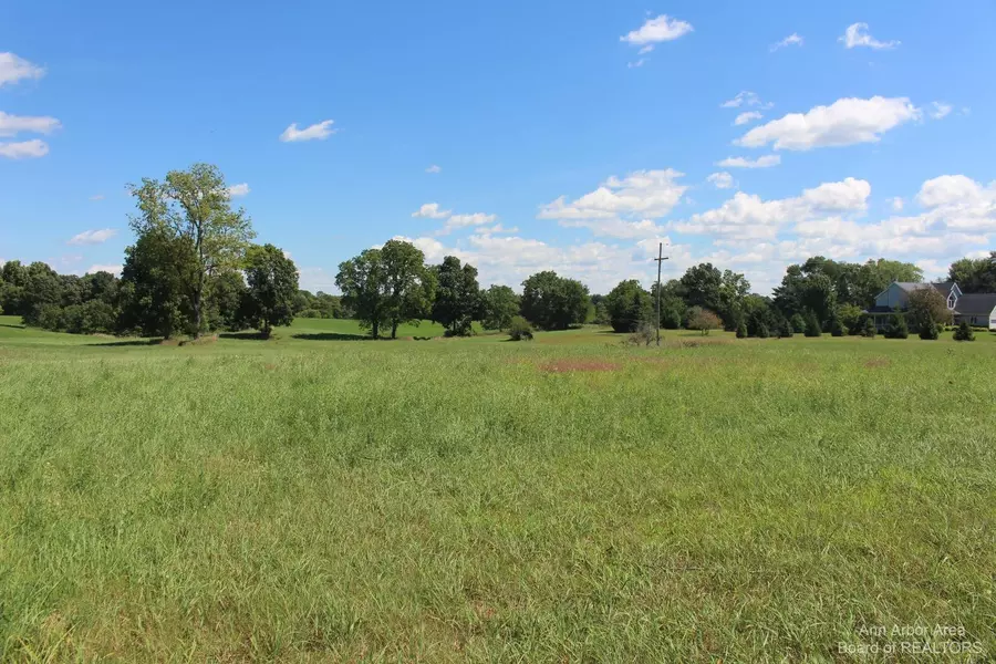 0 Burtch #D, Grass Lake, MI 49240