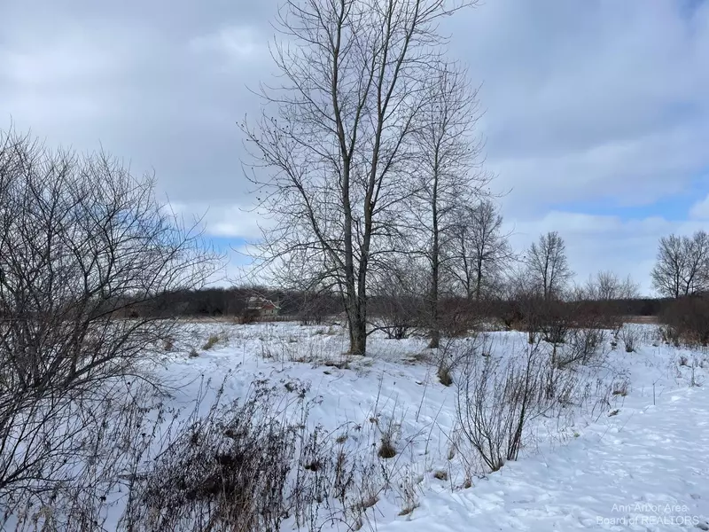 0 Creek Drive, Grass Lake, MI 49240
