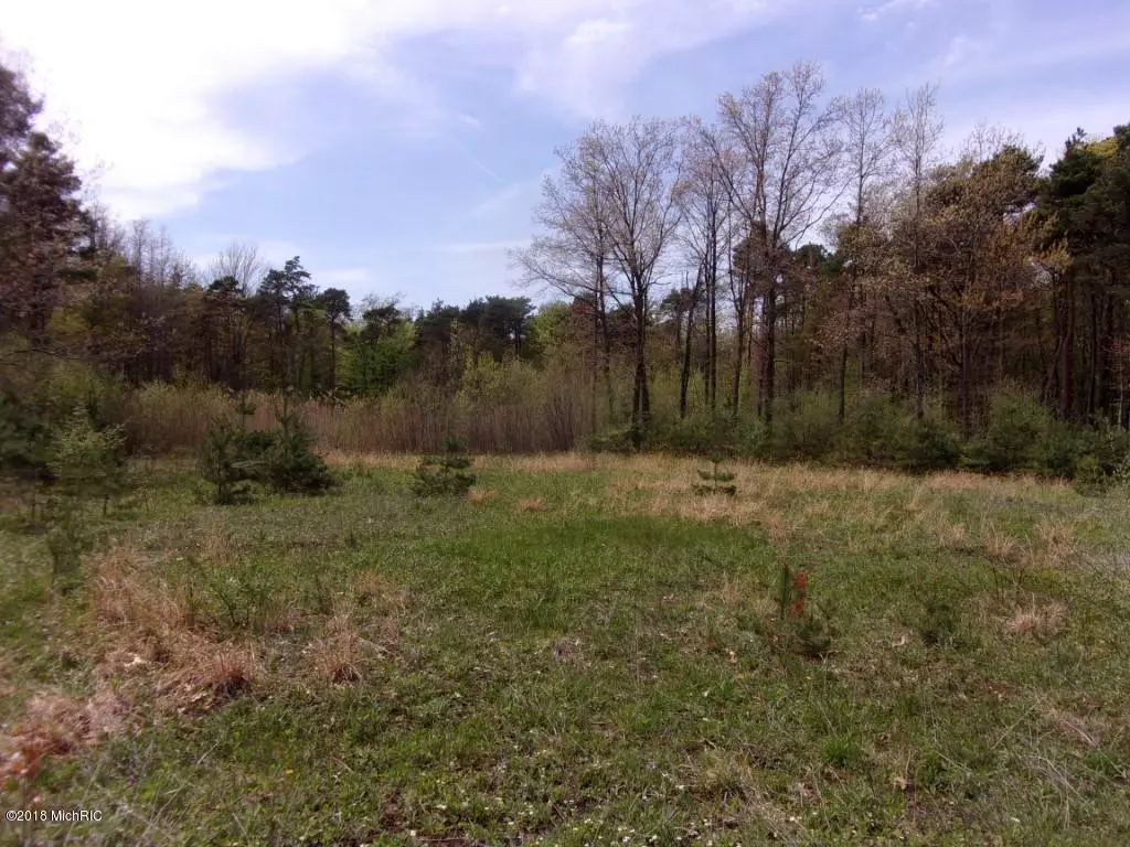 Fennville, MI 49408,Lot 1 Serenity Pines Drive