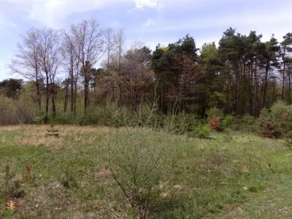 Fennville, MI 49408,Lot 1 Serenity Pines Drive