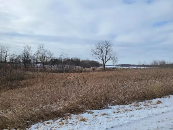 Union City, MI 49094,Parcel #6 GOODWIN Drive