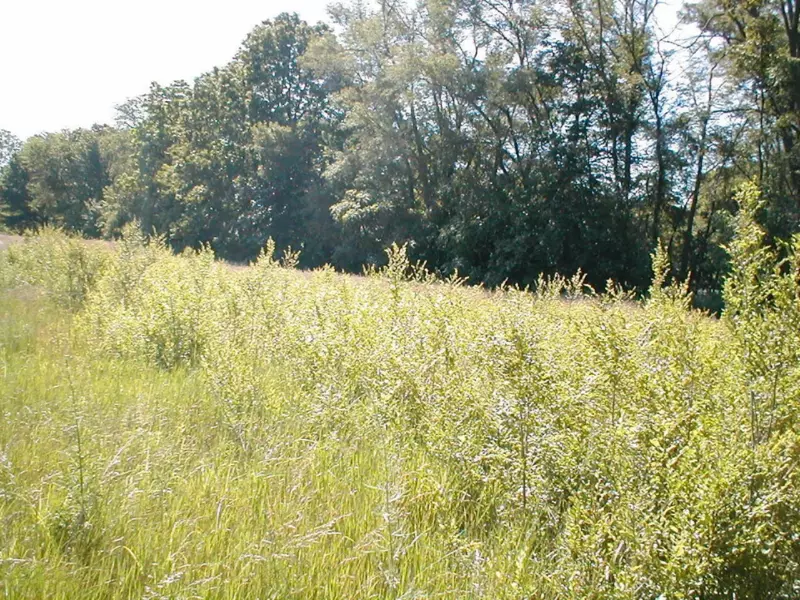 00 Red Arrow Highway, Bridgman, MI 49106