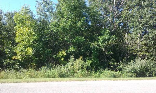 Manistee, MI 49660,Lot 3 Cutter's Ridge