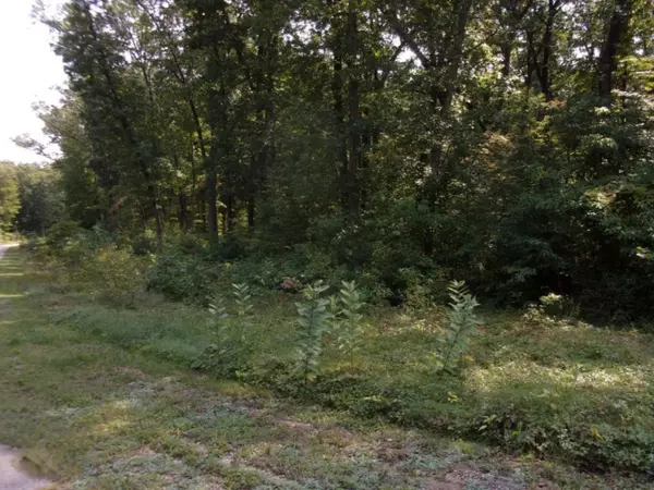 Ryan Woods Circle #21, Allegan, MI 49010