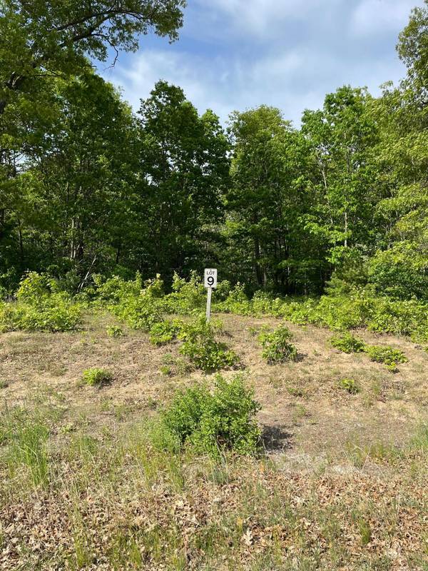 Lot 9 Renaissance, Manistee, MI 49660