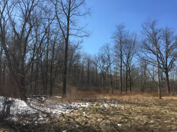 Bangor, MI 49013,61006 Co Rd 378