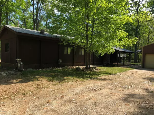 8672 N Bass Lake Road, Irons, MI 49644