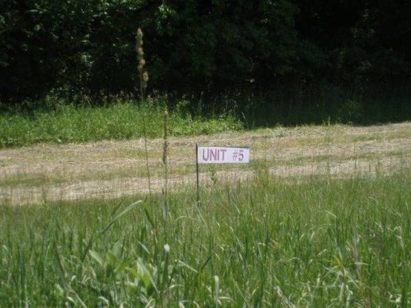 Unit 5 Cygnet Drive #5, Otsego, MI 49078