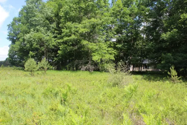 Canadian Lakes, MI 49346,6695 Dunhill Drive