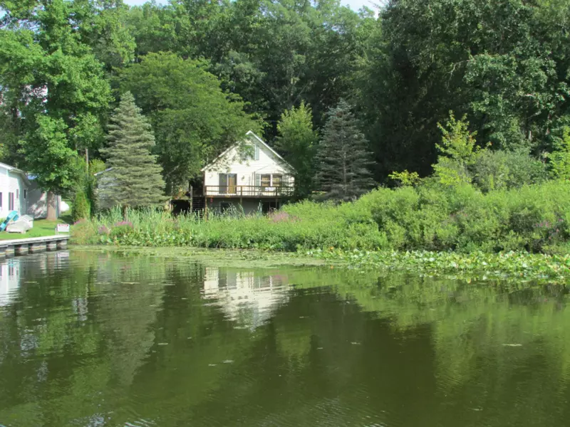 366 Mud Lake Drive, Coldwater, MI 49036