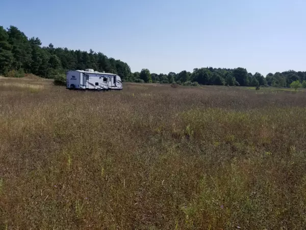 Hart, MI 49420,Lot C Meadow View Lane