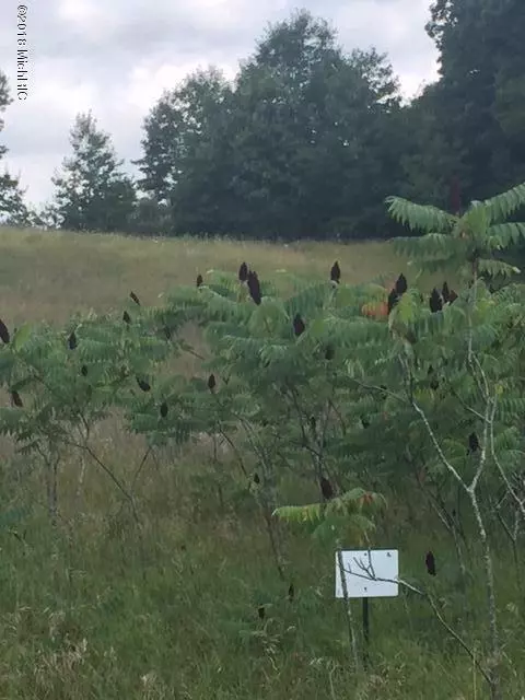 Howard City, MI 49329,TBD W Gates Rd