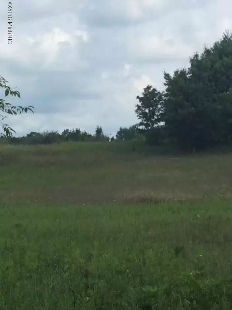 Howard City, MI 49329,TBD W Gates Rd