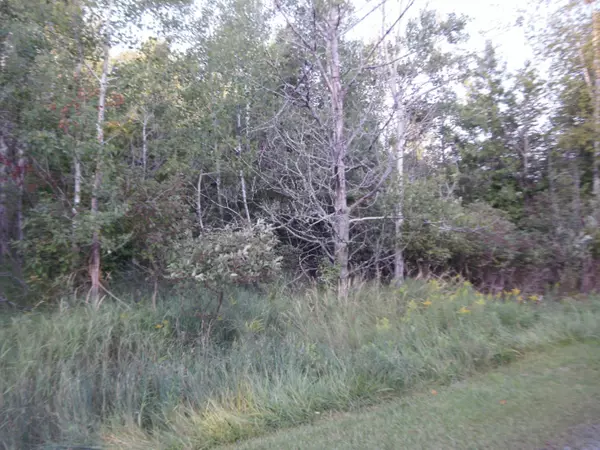 Onekama, MI 49675,W Fairway