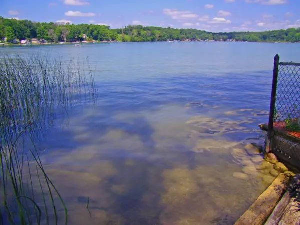 Vandalia, MI 49095,Birch Lakeshore Drive