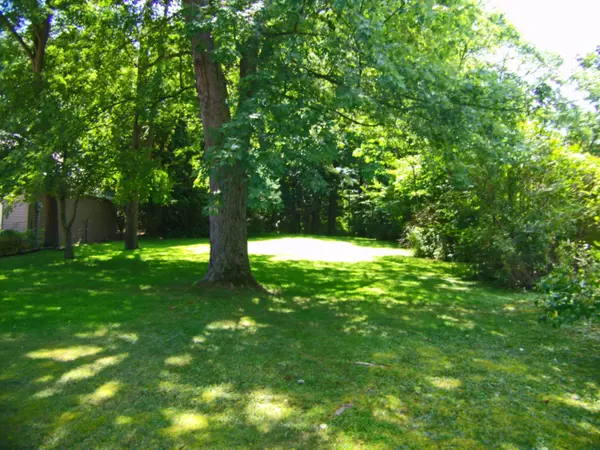 Vandalia, MI 49095,Birch Lakeshore Drive