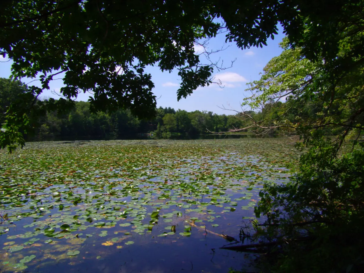 Vandalia, MI 49095,Birch Lakeshore Drive