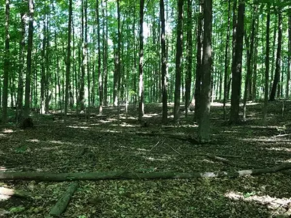 Cloverdale, MI 49035,0 Cloverdale Road