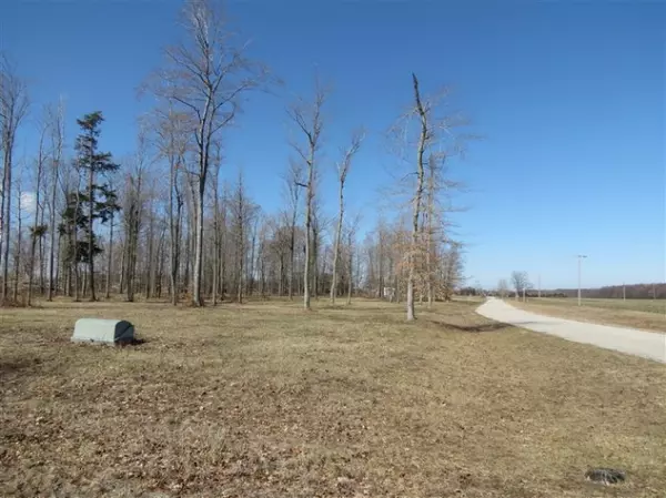 Hart, MI 49420,18 Destiny Drive