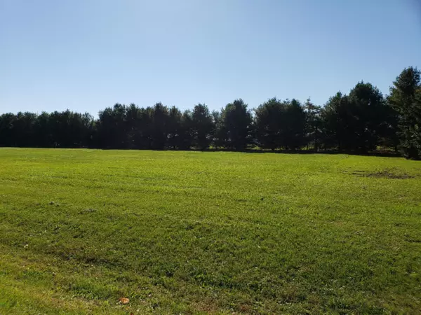 Lot 9 Woodside Lane, Three Rivers, MI 49093