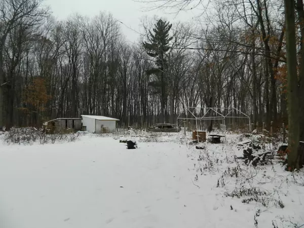 Howard City, MI 49329,23154 Clemville Drive