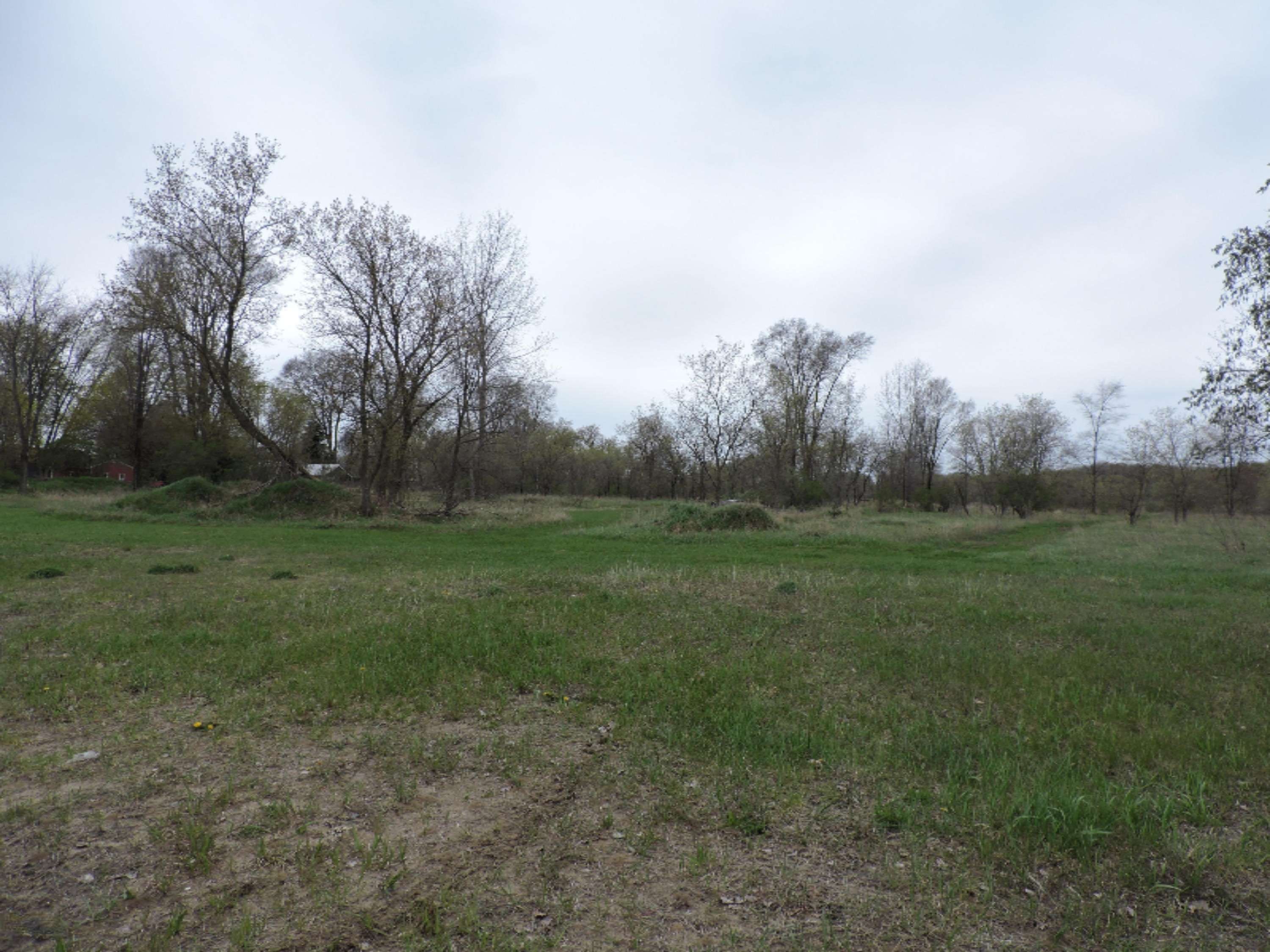 Big Rapids, MI 49307,000 210th Avenue