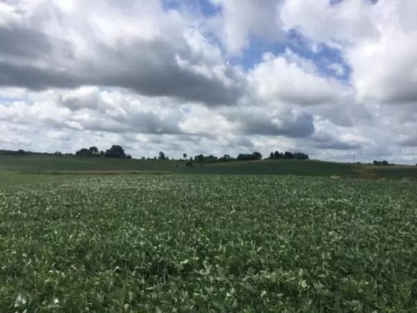 Pittsford, MI 49271,1395 N Kelso Road