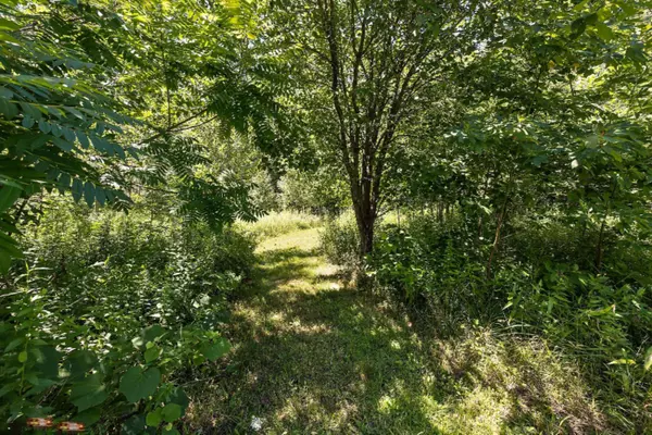 New Buffalo, MI 49117,13440 Trillium Lane #lot 19