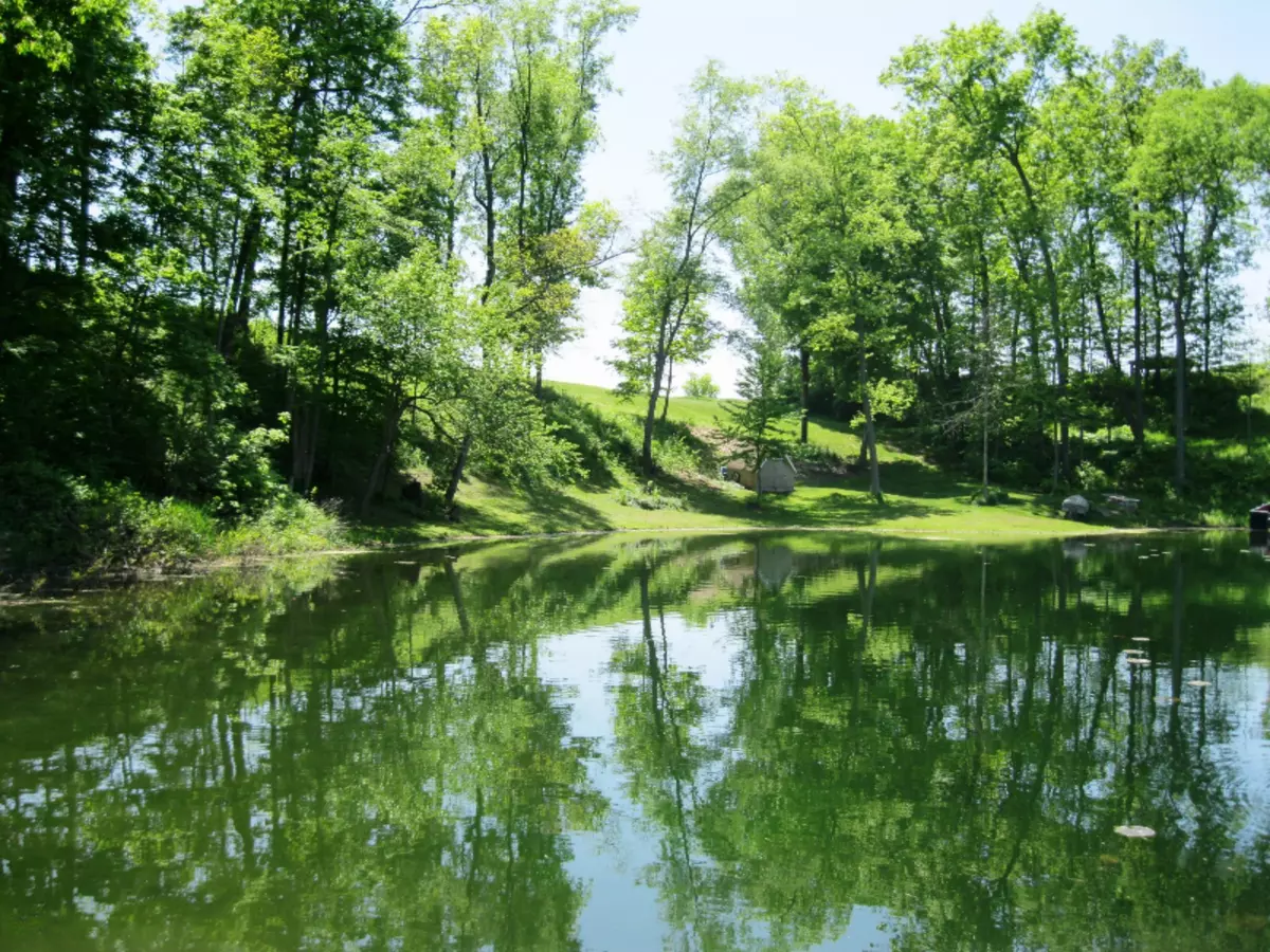Three Rivers, MI 49093,Shafer Bros Road