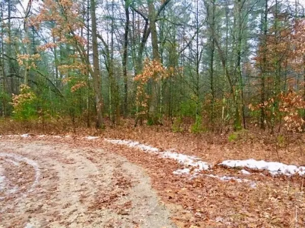 9499 E Whispering Oaks Lane, Newaygo, MI 49337