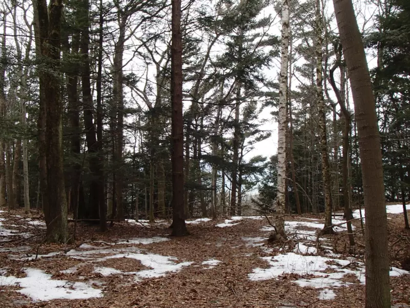 Lot 13 Sable Point Drive, Shelby, MI 49455