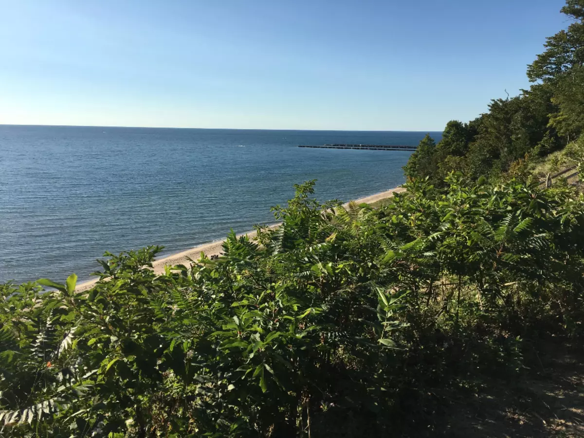 West Olive, MI 49460,0 Colfax Street