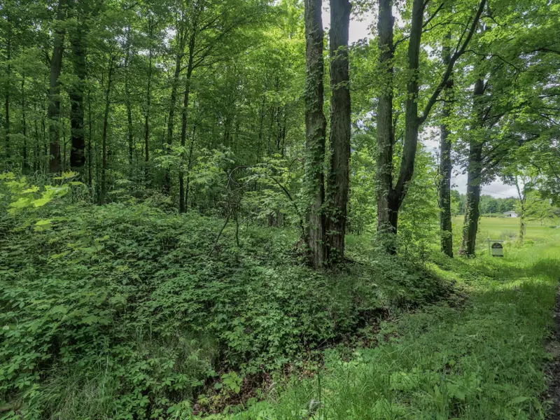 Baseline Road, Bloomingdale, MI 49026
