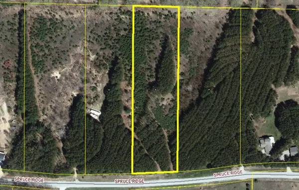 Lot 6 Spruce Ridge, Bear Lake, MI 49614