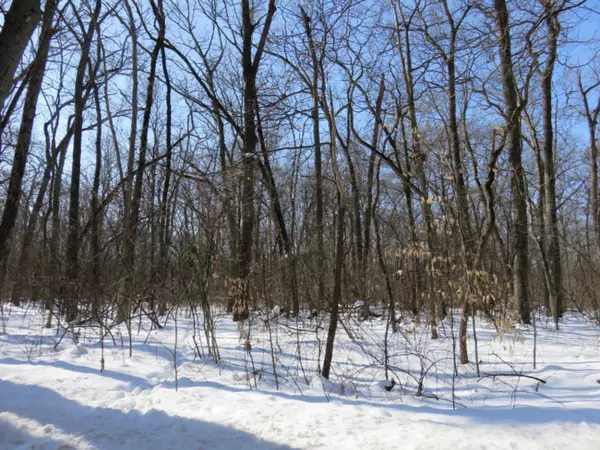 Pullman, MI 49450,108th Avenue