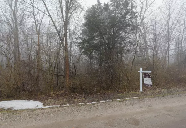 South Haven, MI 49090,Elm Street #Lot 226