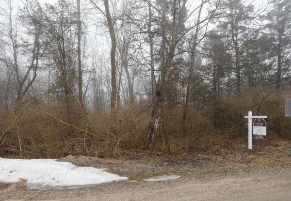 South Haven, MI 49090,Elm Street #Lot 227