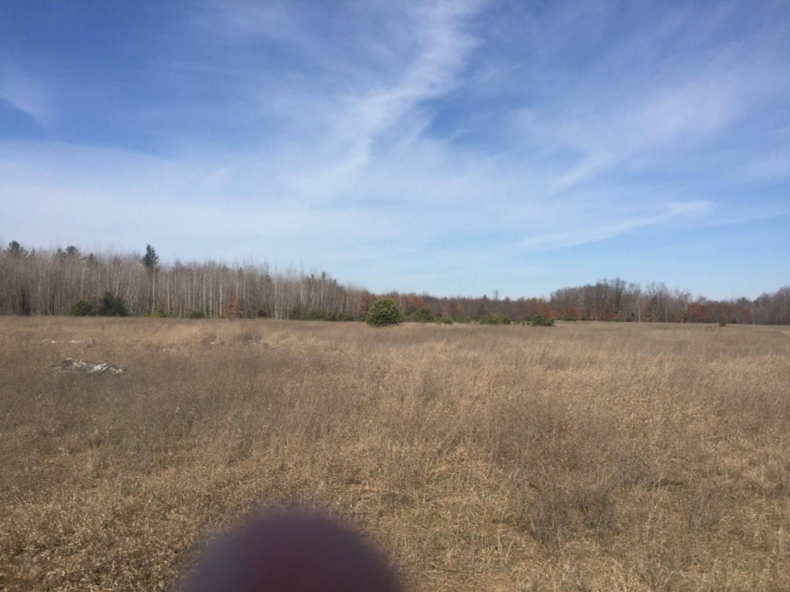 Stanton, MI 48888,3340 McBride NW Road