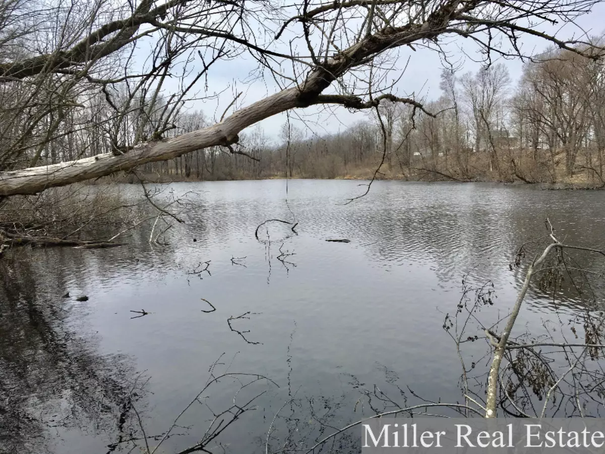 Hastings, MI 49058,Hickory Hill Lane